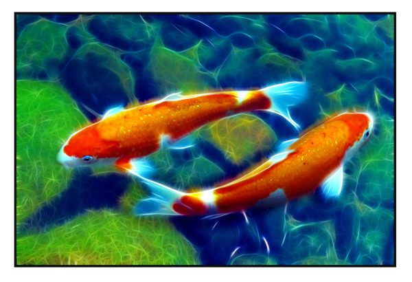 FSA_2-48-x72inch_B