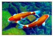 FSA_2-48-x72inch_G